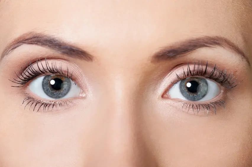 LashLink empfiehlt: Die besten Produkte für Wimperverlängerung Wimpern
