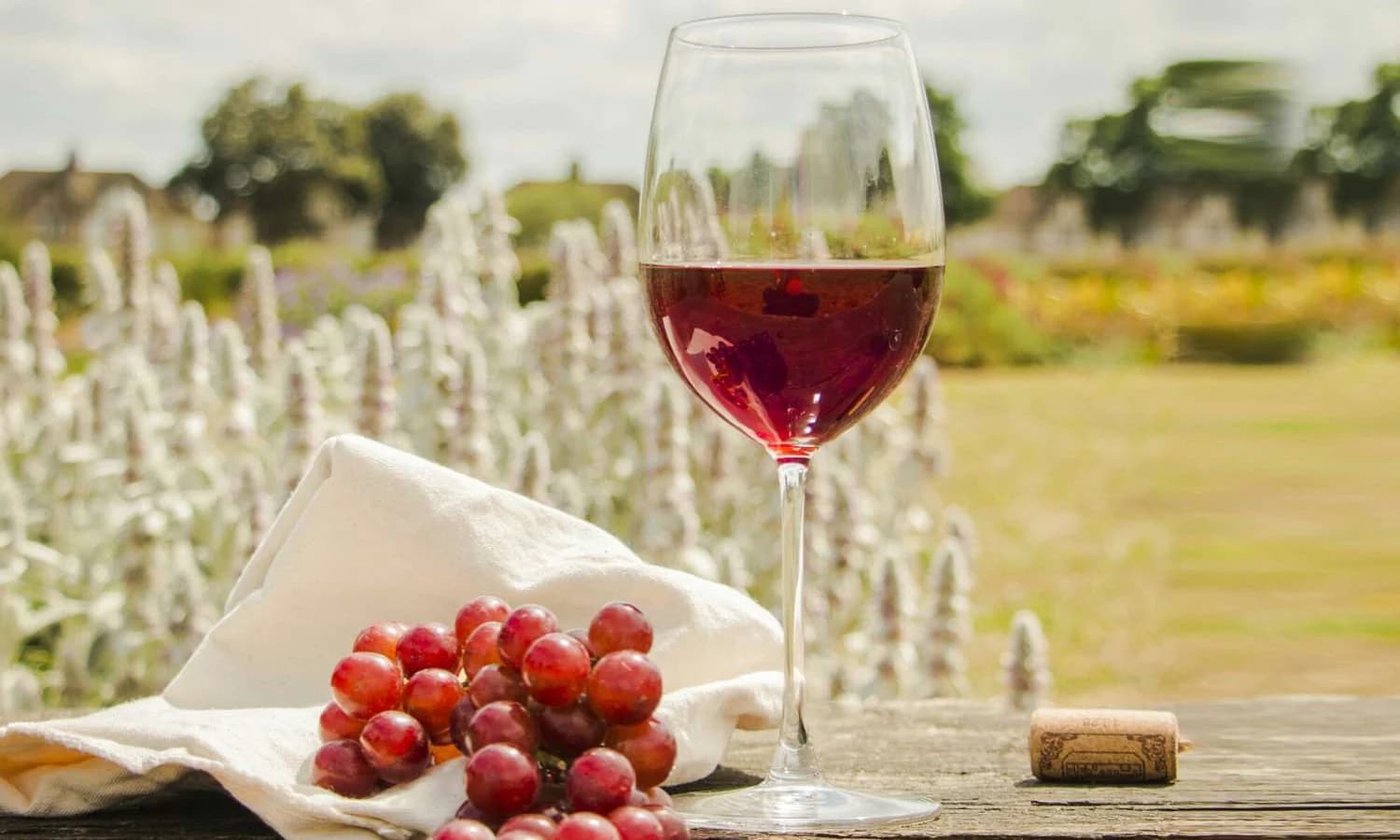 Weinhandel und Weihnachtsgeschenke: Die besten Weine für die Feiertage