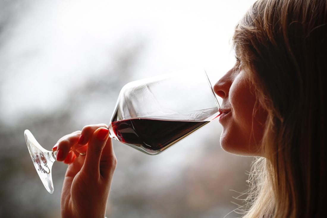 Rotwein Online kaufen für Einsteiger: Ein Leitfaden für Neulinge