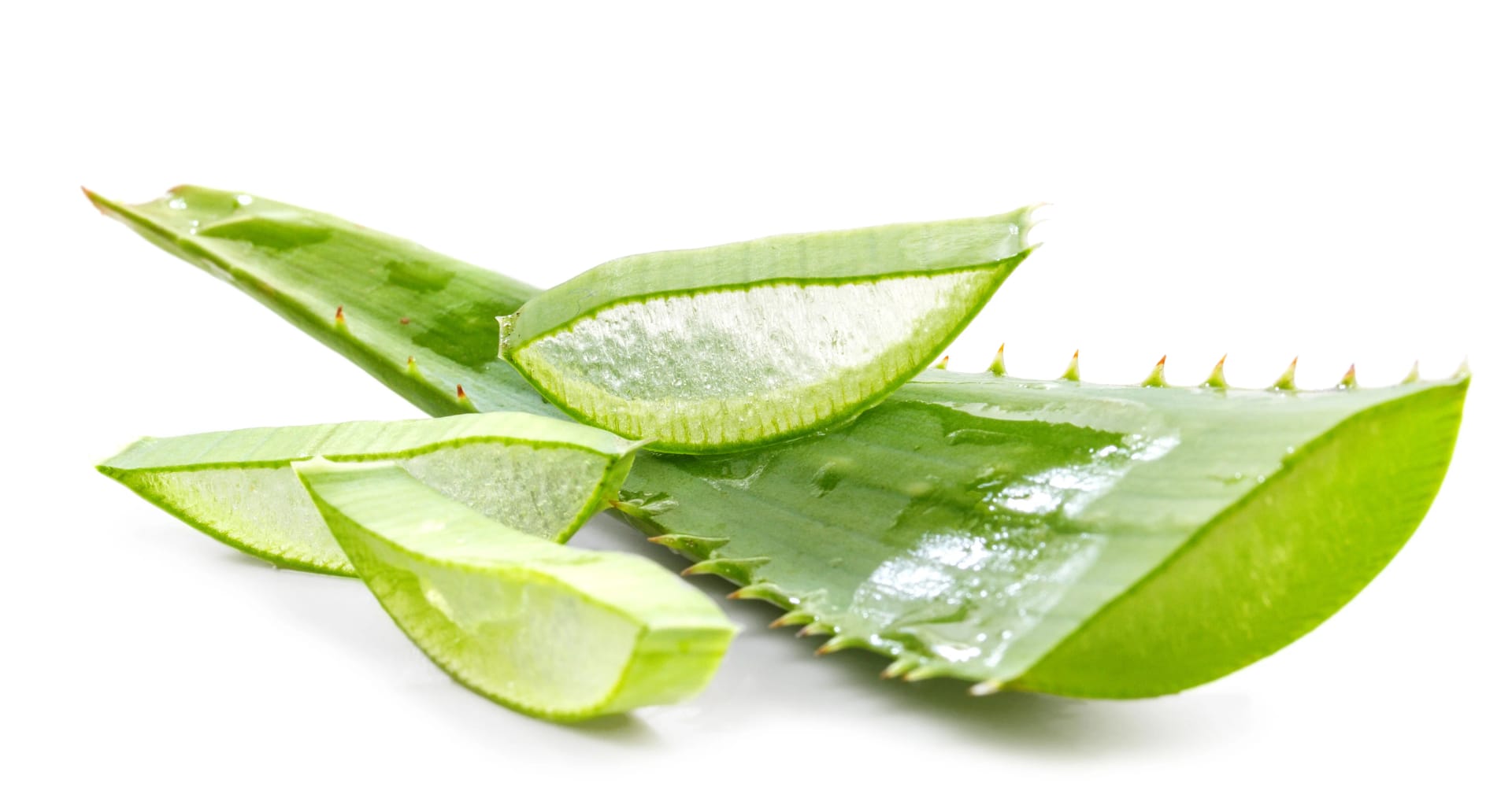 Unabhängiger Distributor von Forever Living Products empfiehlt die Aloe Propolis Creme